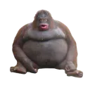 FatMonkey