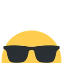 sunglass sunglass
