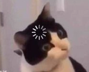 huh