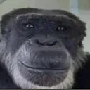 monke