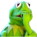 ShockedKermitt