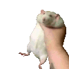tw_choke Discord emoji