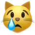crying_cat