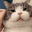 kitty