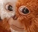 giz