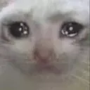 Cat_CryOwO