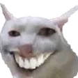 koniec