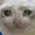 q_sobs_cat1