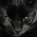 HalsDemonDog HalsDemonDog