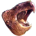 Xxchamp
