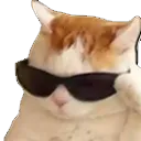 CoolCat CoolCat