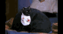 Kitty_Fat_LP