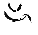 bats