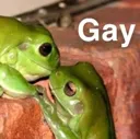 gayphrog