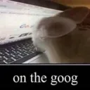 onthegoog