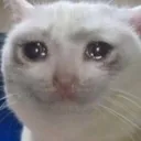 ds_catsadOwO