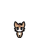 CatSpin
