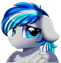 Hawk_sad Hawk_sad