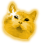 goldcat Discord emoji
