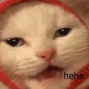 x_cathehe Discord Emoji