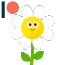 anthemis anthemis