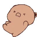 AEMJ_bloomcry2