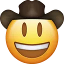 Nielsencowboys