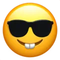nerd_with_sunglasses nerd_with_sunglasses