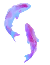 pr_koifish