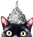 TinFoilCat