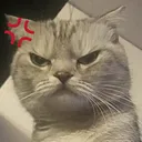 mad_cat
