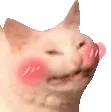catblush