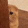 cattoukan Discord Emoji