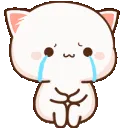 Rei_kittcry
