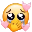 z6_wholesome