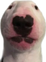 walter Discord emoji