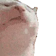 vibecat