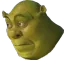 shrek_bruh