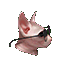 bingus Discord emoji