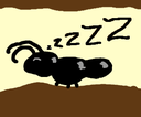 zzzzz Discord emoji