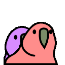 parrottwins