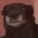 woahveryfunny