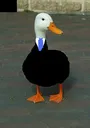 BusinessDuck