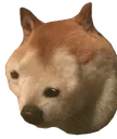 LeBonk