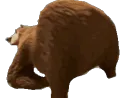 boogaloo