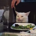 dinnercat Discord Emoji