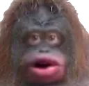 monke