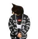 catdrip