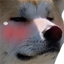 REN_BlushDog Discord emoji