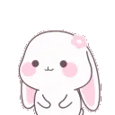 bunny_adorable